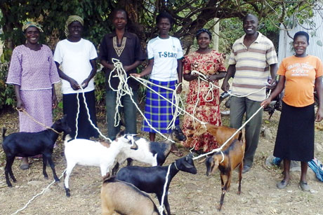 Families Receive Goats With P4P Matching Funds Program
